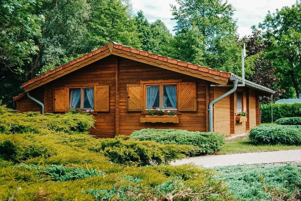 Holzhaus Direkt Am See Priepert Zewnętrze zdjęcie